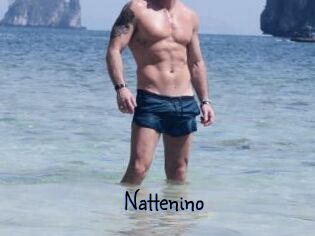 Nattenino
