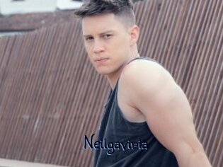 Neilgaviria