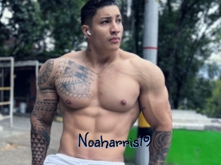 Noaharris19