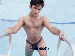 Noaheden