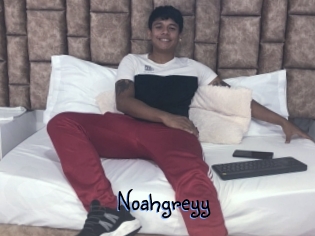 Noahgreyy