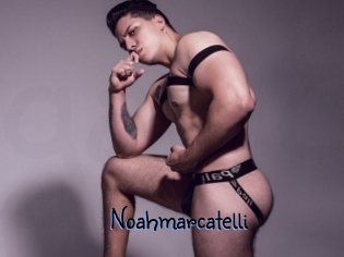 noahmarcatelli Gay 88