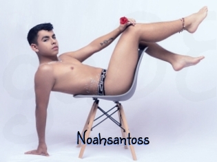 Noahsantoss
