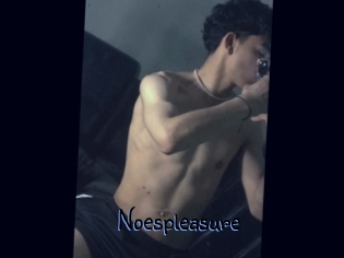 Noespleasure