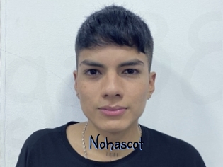 Nohascot