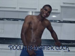 POOL_THE_MOSTER_COCK