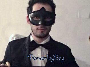 PerverToyBoy