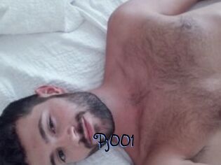 Pj001