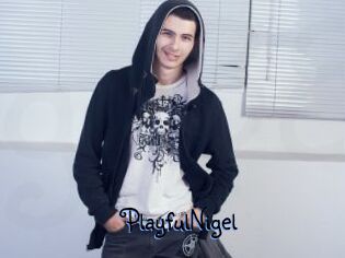 PlayfulNigel