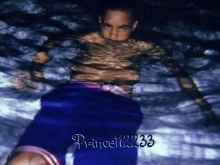 Prince112233