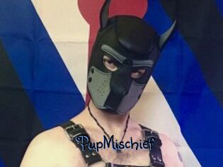PupMischief