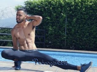 Pedrogarzon