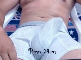Penesi24cm