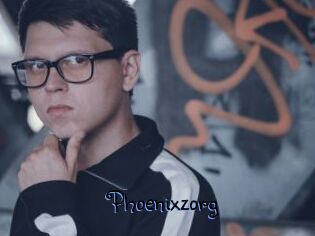 Phoenixzorg