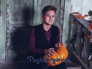 Playfulboydavid