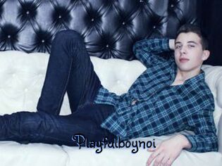 Playfulboynoi