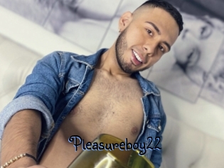 Pleasureboy22