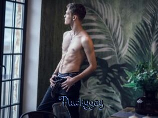 Pluckygay