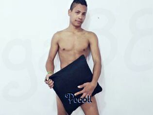 Poooll