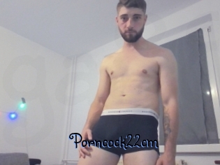 Porncock22cm