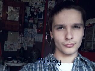 Pulseboy