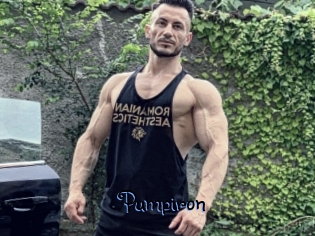 pumpiron Gay 88