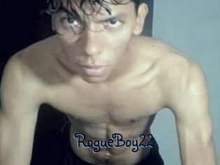 RogueBoy22