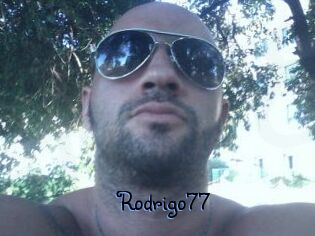 Rodrigo77