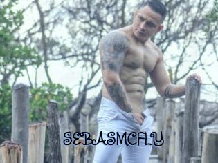 SEBASMCFLY