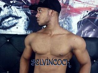 SELVINCOCK