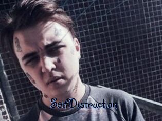 SelfDistruction