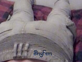 ShyFem