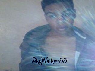 SkyWalker88