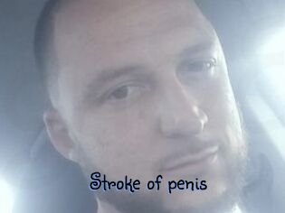 Stroke_of_penis