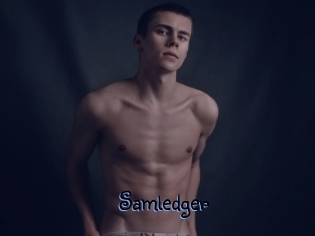 Samledger