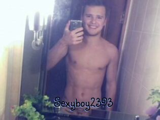 Sexyboy2393