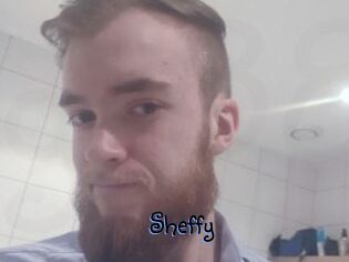 Sheffy