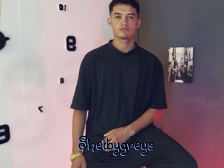 Shelbygreys