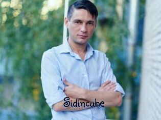 Sid_incube