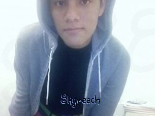 Skyreach