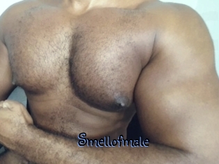 Smellofmale