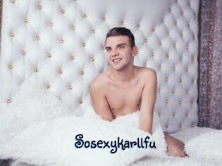 Sosexykarllfu