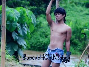 SuperbHORNYboy