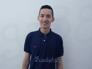 Susakehot
