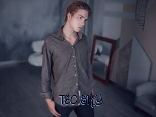 TEO_SKY