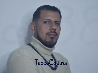TadeoCollins
