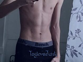 TaylorsJunk
