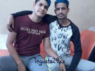 Tegusta29xx