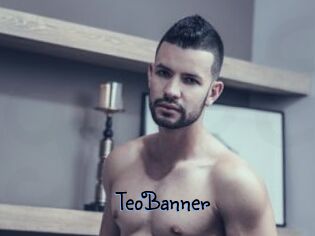 TeoBanner