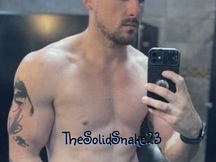 TheSolidSnake23